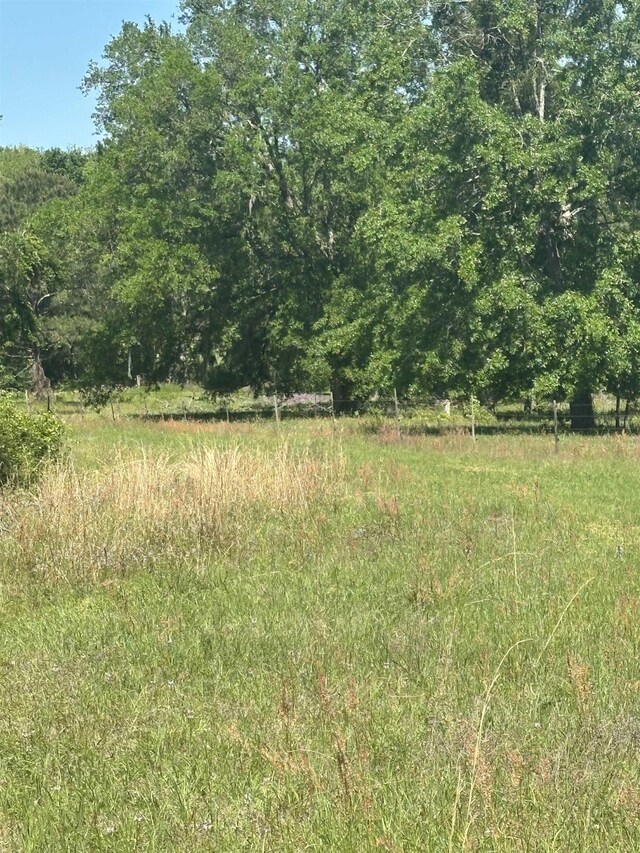 3282 NW US-221 Hwy, Greenville, FL 32331 - photo 16