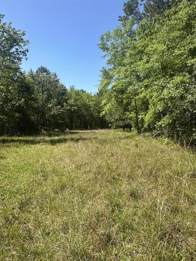 3282 NW US-221 Hwy, Greenville, FL 32331 - photo 22