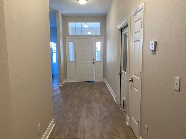 entryway with a towering ceiling and dark hardwood / wood-style flooring