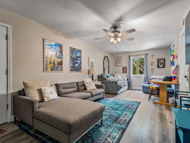 2402 Mexia Ave, Tallahassee, FL 32304 - living room featuring a ceiling fan and light wood-style floors