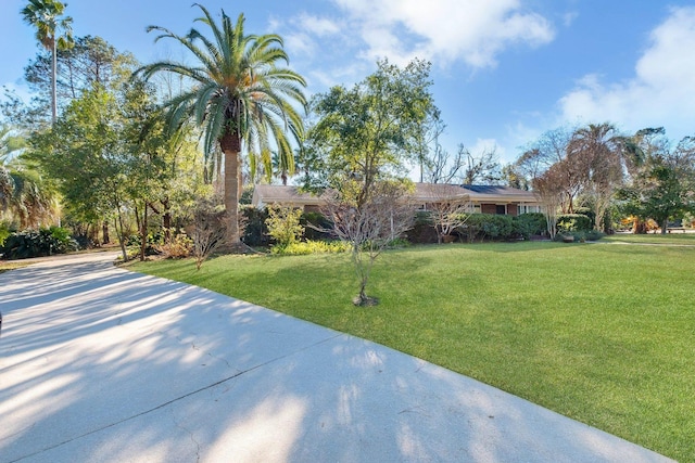 view of front of house with a front yard