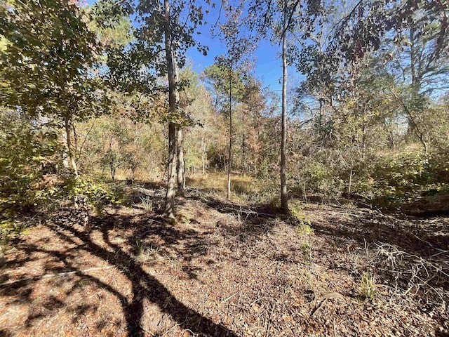VACANT SW Moseley Hall Rd, Greenville, FL 32331 - photo 17