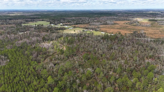 VACANT SW Moseley Hall Rd, Greenville, FL 32331 - photo 20