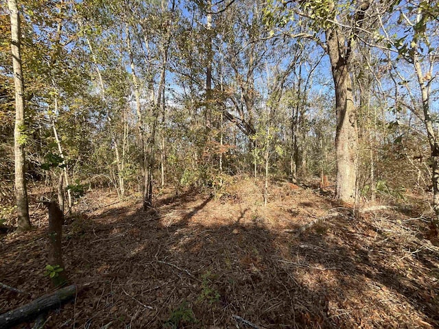 VACANT SW Moseley Hall Rd, Greenville, FL 32331 - photo 11