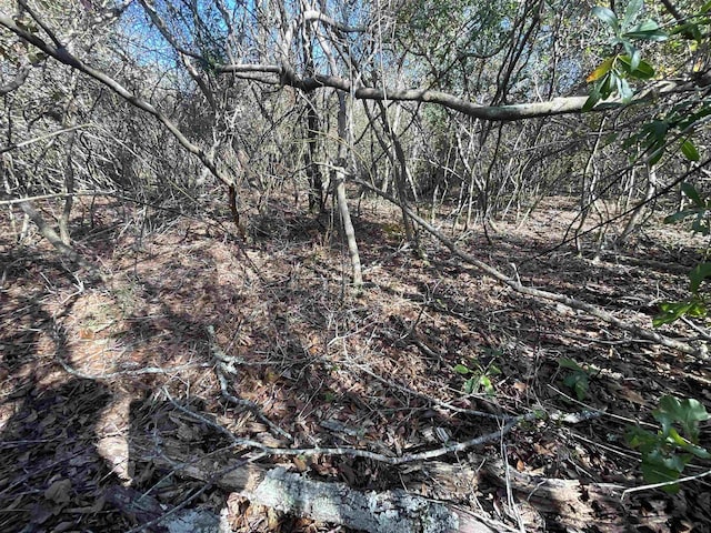 VACANT SW Moseley Hall Rd, Greenville, FL 32331 - photo 15