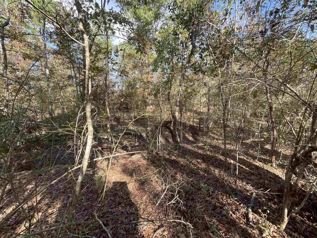 VACANT SW Moseley Hall Rd, Greenville, FL 32331 - photo 33