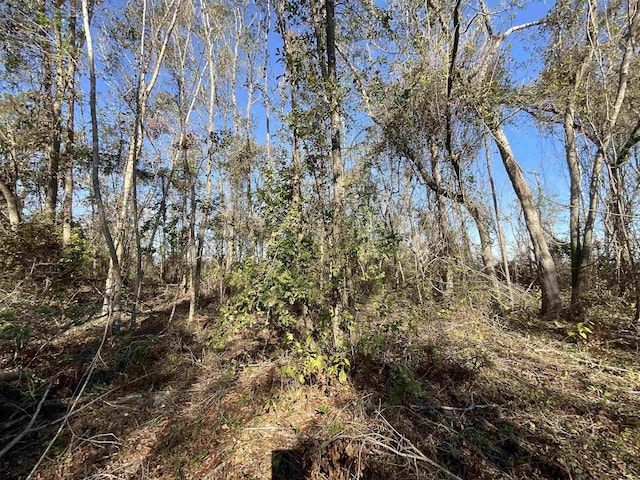 VACANT SW Moseley Hall Rd, Greenville, FL 32331 - photo 24