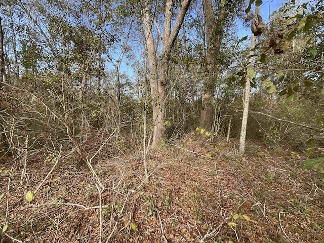 VACANT SW Moseley Hall Rd, Greenville, FL 32331 - photo 14