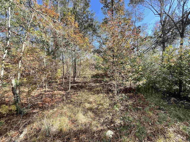 VACANT SW Moseley Hall Rd, Greenville, FL 32331 - photo 13