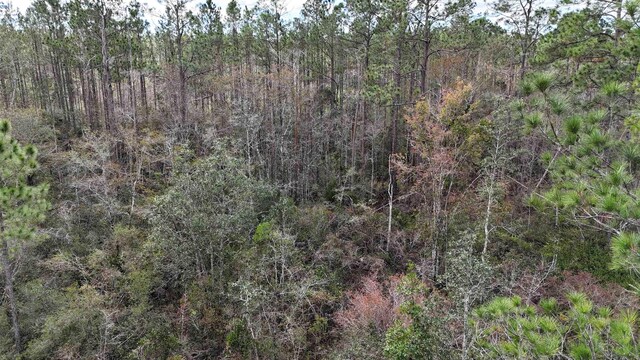 VACANT SW Moseley Hall Rd, Greenville, FL 32331 - photo 27