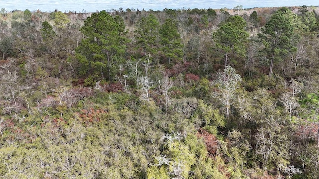 VACANT SW Moseley Hall Rd, Greenville, FL 32331 - photo 28