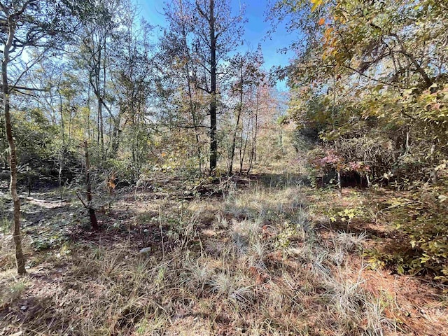 VACANT SW Moseley Hall Rd, Greenville, FL 32331 - photo 10