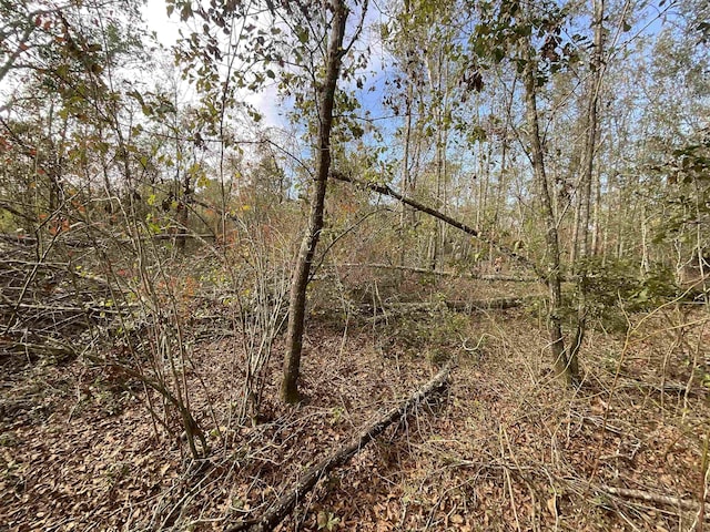 VACANT SW Moseley Hall Rd, Greenville, FL 32331 - photo 35