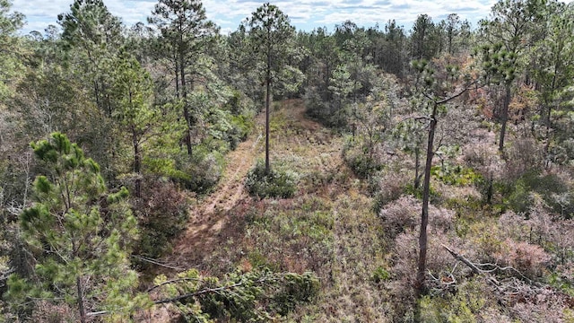 VACANT SW Moseley Hall Rd, Greenville, FL 32331 - photo 7