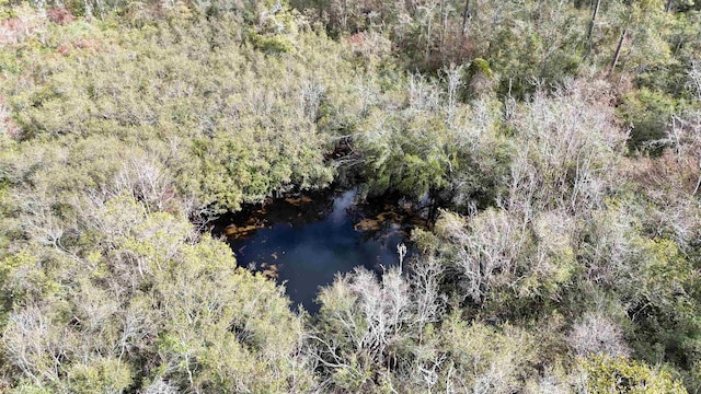 VACANT SW Moseley Hall Rd, Greenville, FL 32331 - photo 29