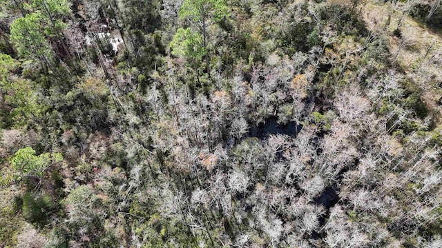 VACANT SW Moseley Hall Rd, Greenville, FL 32331 - photo 22