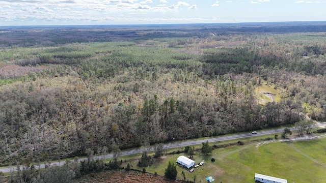 VACANT SW Moseley Hall Rd, Greenville, FL 32331 - photo 2