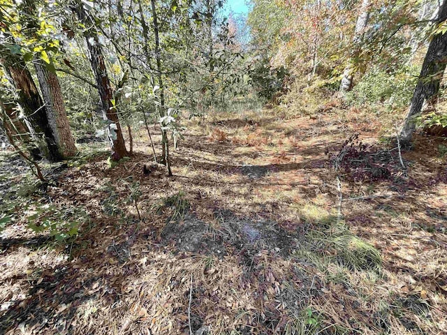 VACANT SW Moseley Hall Rd, Greenville, FL 32331 - photo 12