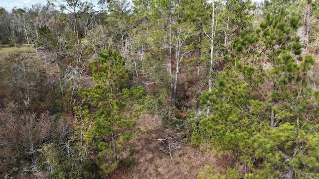 VACANT SW Moseley Hall Rd, Greenville, FL 32331 - photo 21