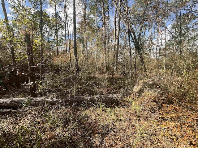 VACANT SW Moseley Hall Rd, Greenville, FL 32331 - photo 38