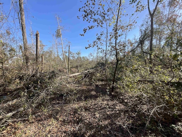 VACANT SW Moseley Hall Rd, Greenville, FL 32331 - photo 16