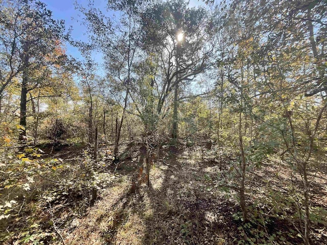 VACANT SW Moseley Hall Rd, Greenville, FL 32331 - photo 37