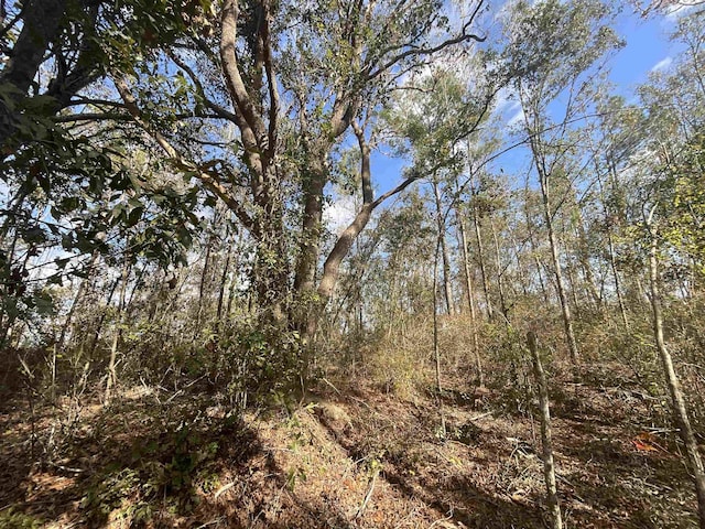 VACANT SW Moseley Hall Rd, Greenville, FL 32331 - photo 36