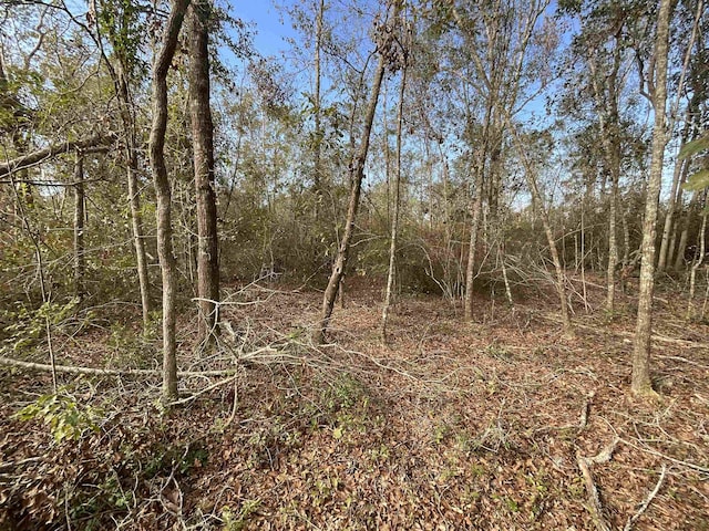 VACANT SW Moseley Hall Rd, Greenville, FL 32331 - photo 26