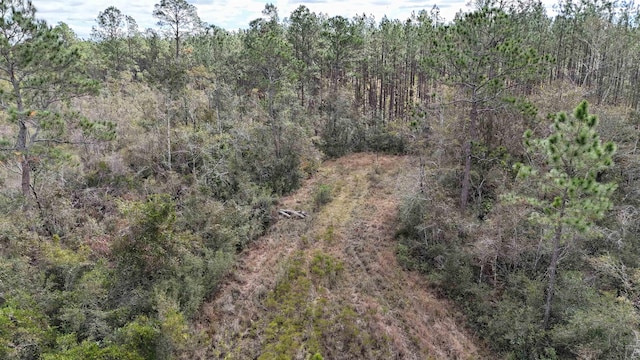 VACANT SW Moseley Hall Rd, Greenville, FL 32331 - photo 31