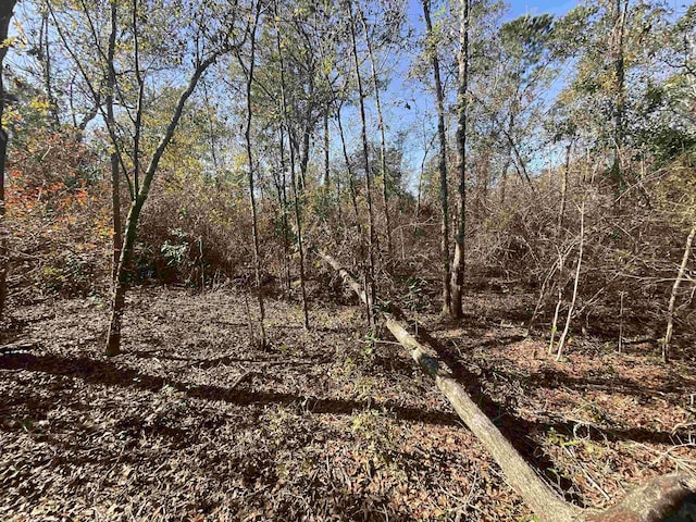 VACANT SW Moseley Hall Rd, Greenville, FL 32331 - photo 25