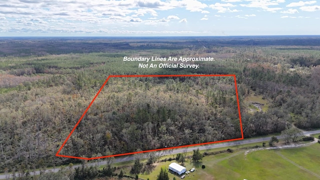 VACANT SW Moseley Hall Rd, Greenville, FL 32331 - photo 1