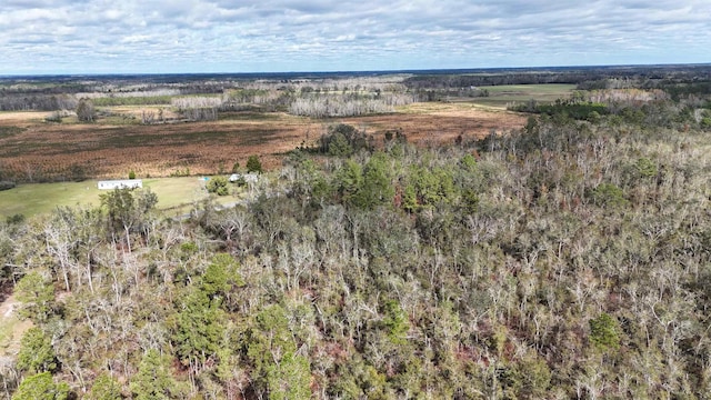 VACANT SW Moseley Hall Rd, Greenville, FL 32331 - photo 4