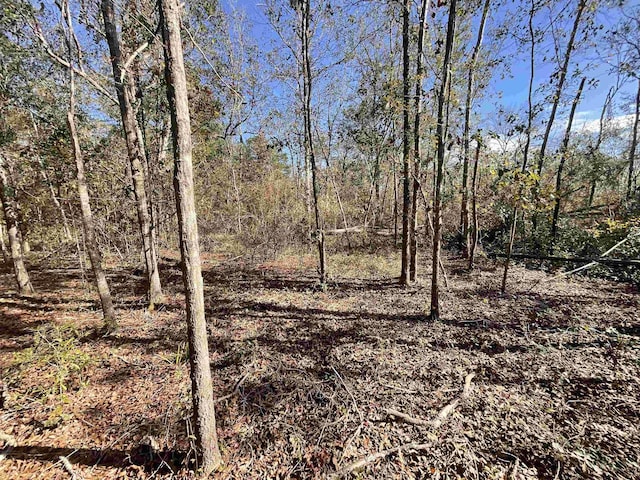 VACANT SW Moseley Hall Rd, Greenville, FL 32331 - photo 18