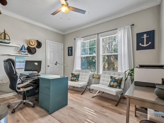 office featuring ceiling fan, ornamental molding, and light hardwood / wood-style floors