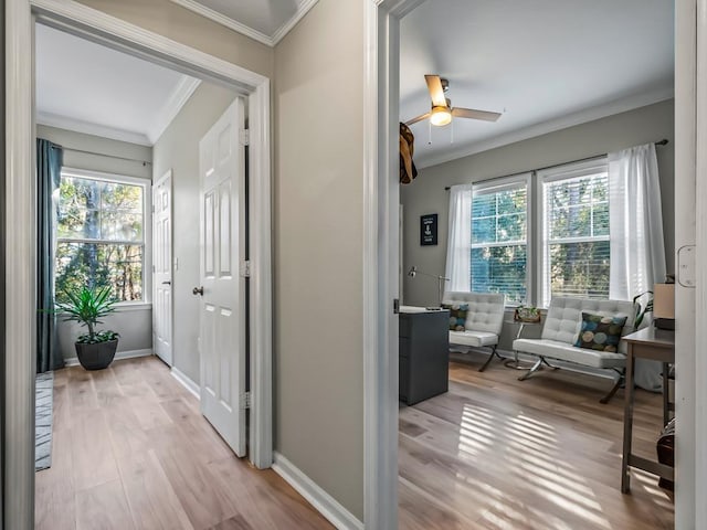 corridor with a wealth of natural light, light hardwood / wood-style flooring, and ornamental molding