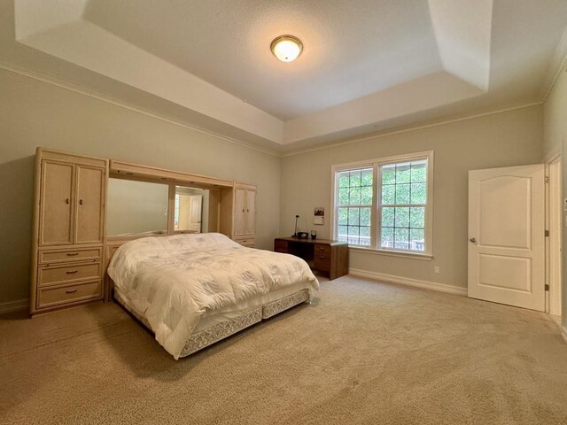 5672 Burnside Cir, Tallahassee, FL 32312 - carpeted bedroom featuring a tray ceiling and baseboards