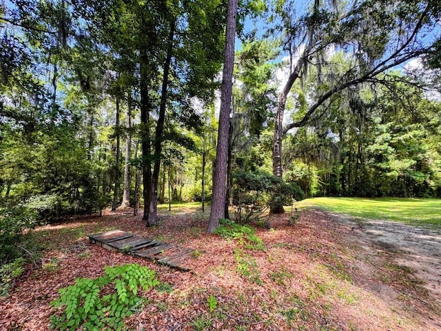 5672 Burnside Cir, Tallahassee, FL 32312 - photo 58