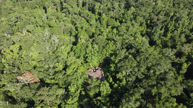 137 Shepards Easement, Crawfordville, FL 32327