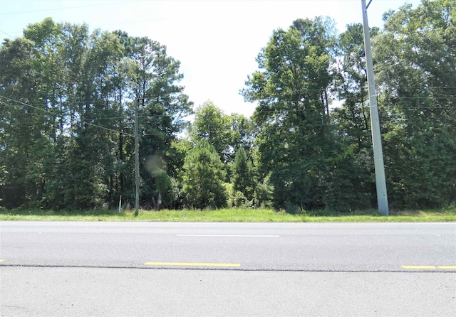 Listing photo 2 for TBD S Jefferson Hwy, Lamont FL 32336