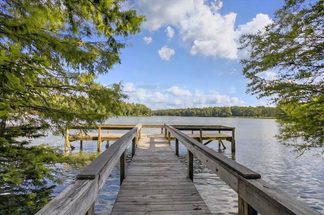 1645 Tallavana Trl, Havana, FL 32333 - dock area featuring a water view and a wooded view
