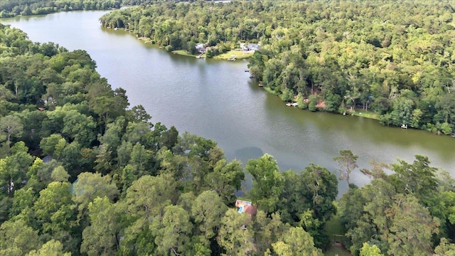 1645 Tallavana Trl, Havana, FL 32333 - aerial view of property's location with a forest and a large body of water