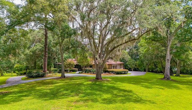 9257 Shady Crest Ln, Tallahassee, FL 32312 - photo 2