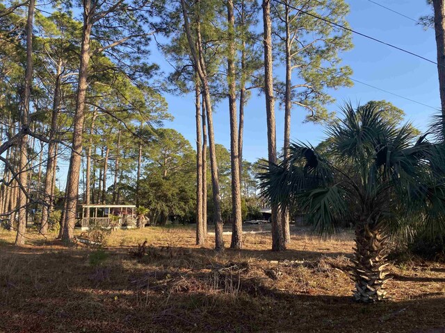 7 Tide Creek Dr, Panacea, FL 32346 - photo 14