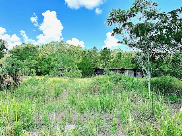 2820 Coastal Hwy, Crawfordville, FL 32327
