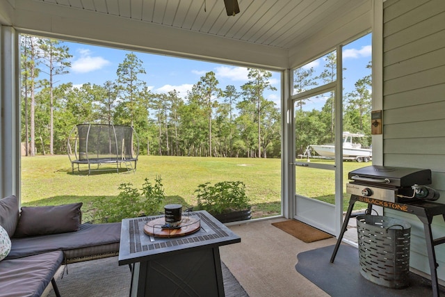 42 Olivia Ct, Crawfordville, FL 32327 - photo 36