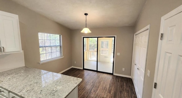 2585 Panther Creek Rd, Tallahassee, FL 32308 - unfurnished dining area with dark wood-style flooring and plenty of natural light