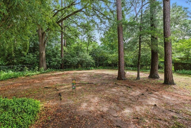 1317 Lemond St, Tallahassee, FL 32308 - photo 35