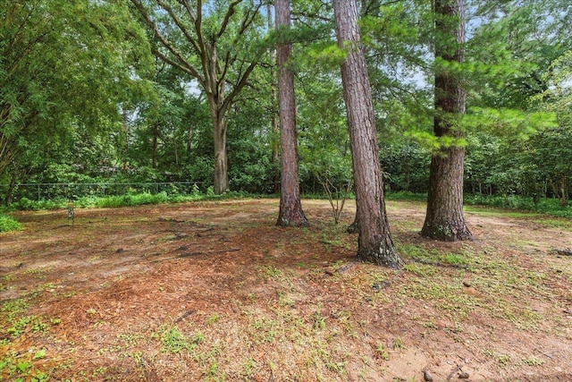 1317 Lemond St, Tallahassee, FL 32308 - photo 34
