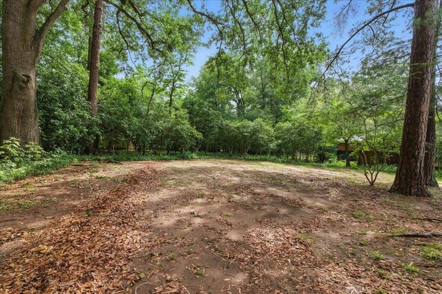 1317 Lemond St, Tallahassee, FL 32308 - photo 36