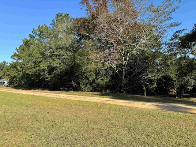 4571 Attapulgus Hwy, Quincy FL, 32352 land for sale